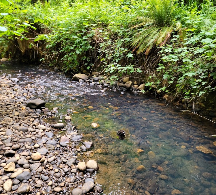 salmon-creek-park-photo